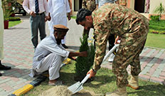 Azadi Plantation at Cadet College Wana